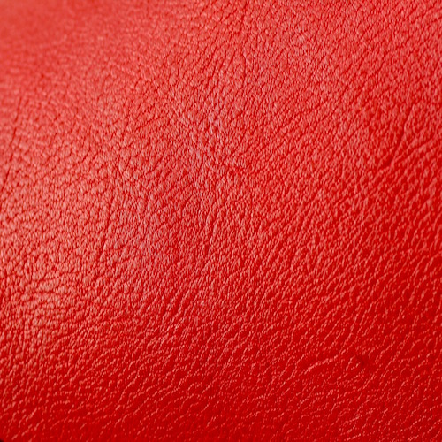 #310 RED