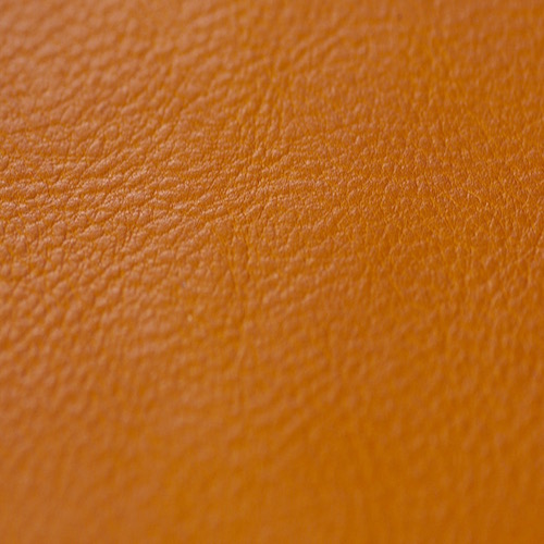 #26 LIGHT CAMEL